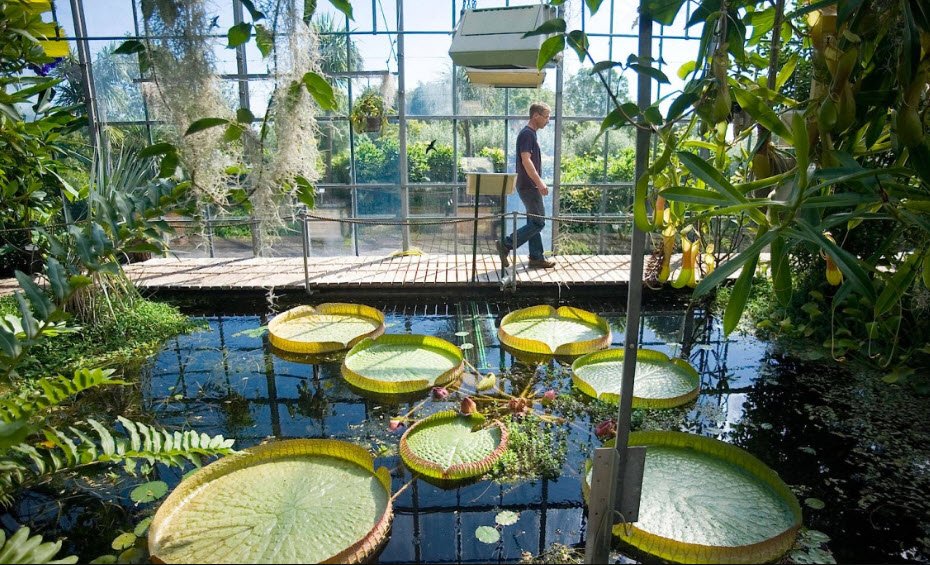 Keltengarten Neuer Botanischer Garten, Marburg, Germany, Germany